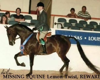 MISSING EQUINE Lemon Twist, REWARD  Near Xenia, OH, 45385